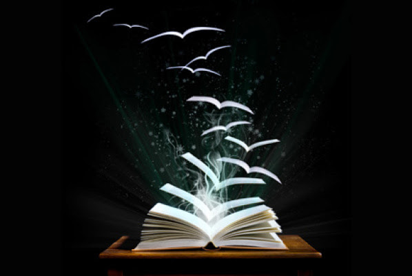 bookbirds